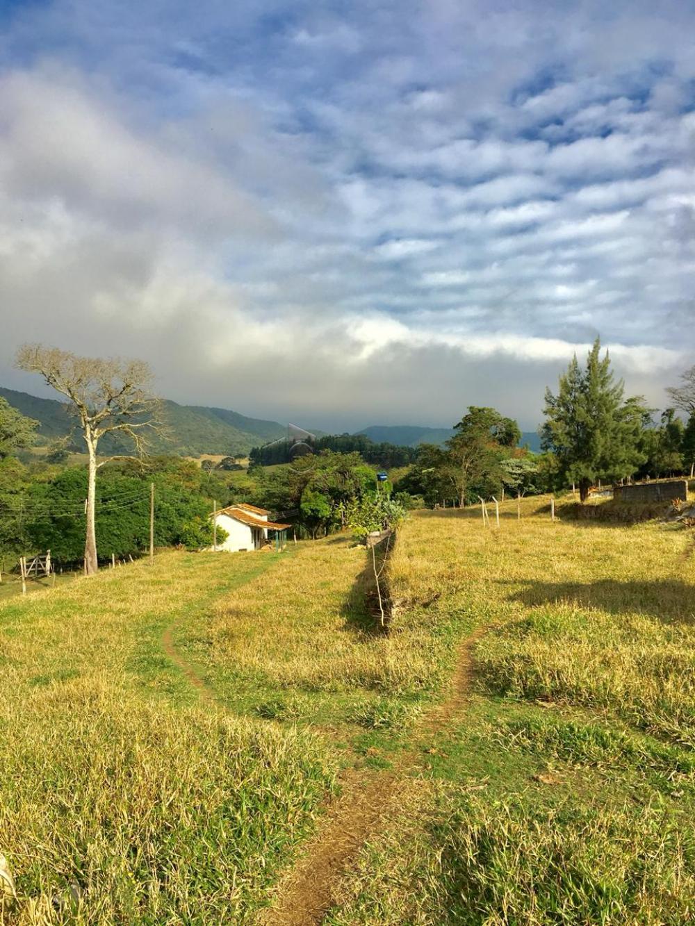 Alugar Sítio / Padrão em Cabreúva R$ 14.000,00 - Foto 5