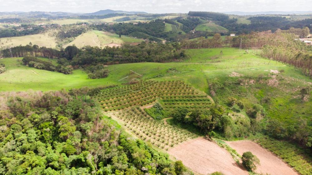 Comprar Sítio / Padrão em Jundiaí R$ 1.780.000,00 - Foto 3