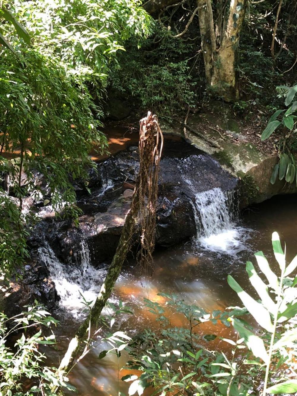 Comprar Sítio / Padrão em Jundiaí R$ 4.500.000,00 - Foto 47