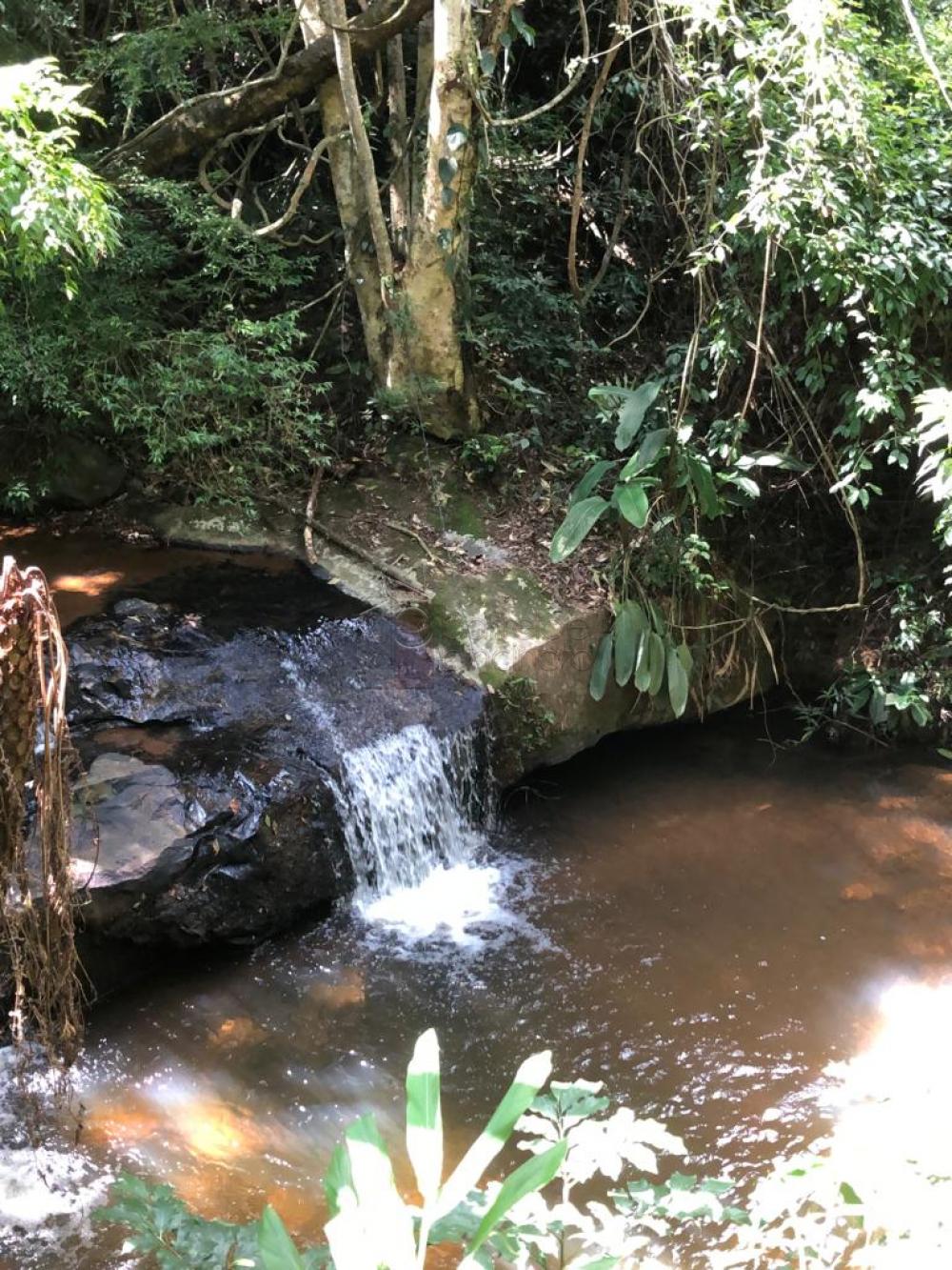 Comprar Sítio / Padrão em Jundiaí R$ 4.500.000,00 - Foto 49