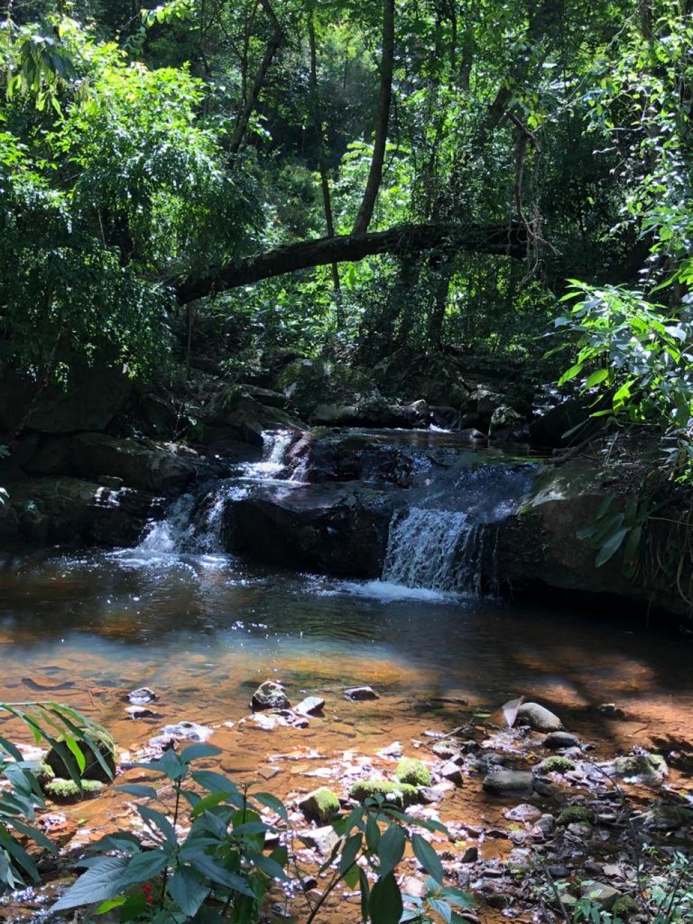 Comprar Sítio / Padrão em Jundiaí R$ 4.500.000,00 - Foto 48