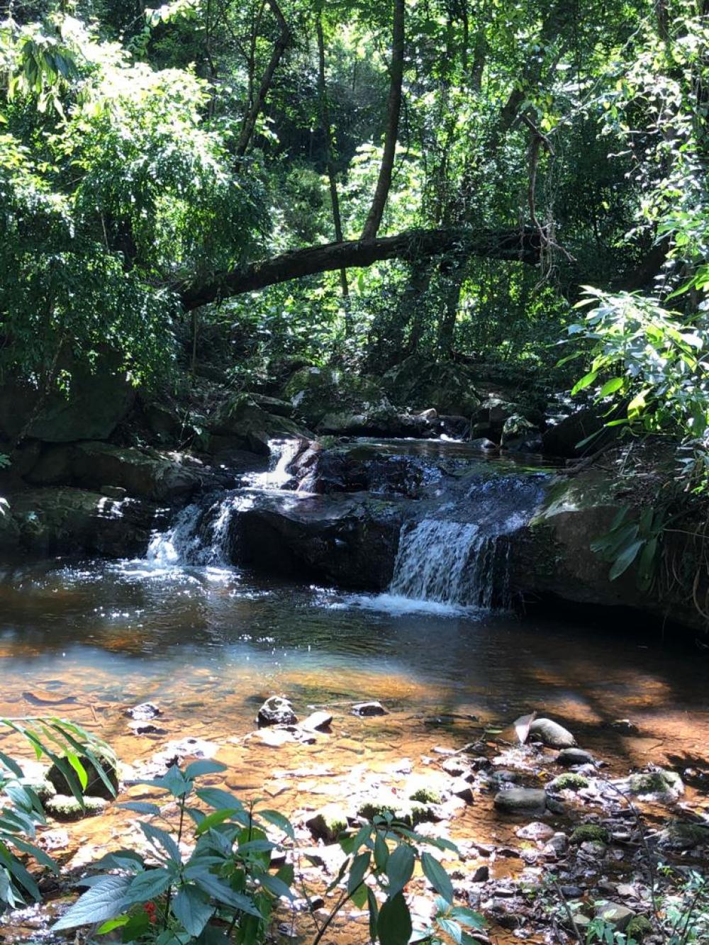 Comprar Sítio / Padrão em Jundiaí R$ 4.500.000,00 - Foto 53