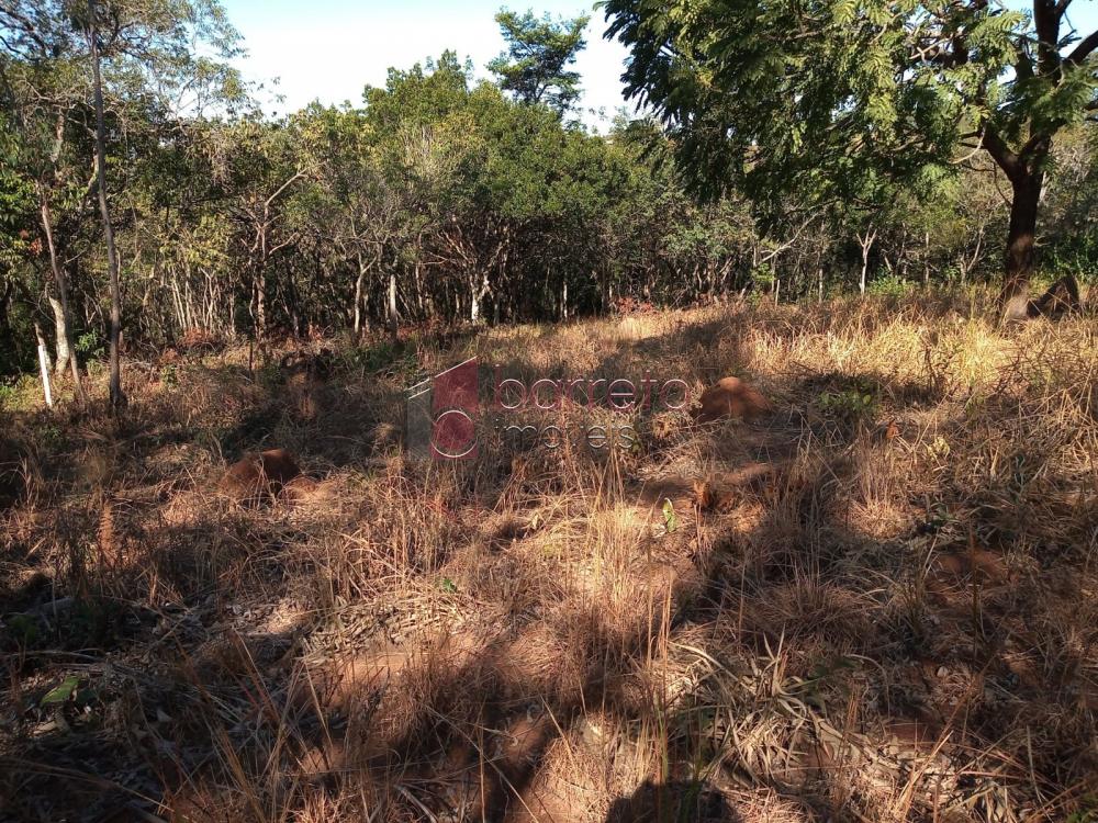 Comprar Terreno / Padrão em Jarinu R$ 223.000,00 - Foto 5