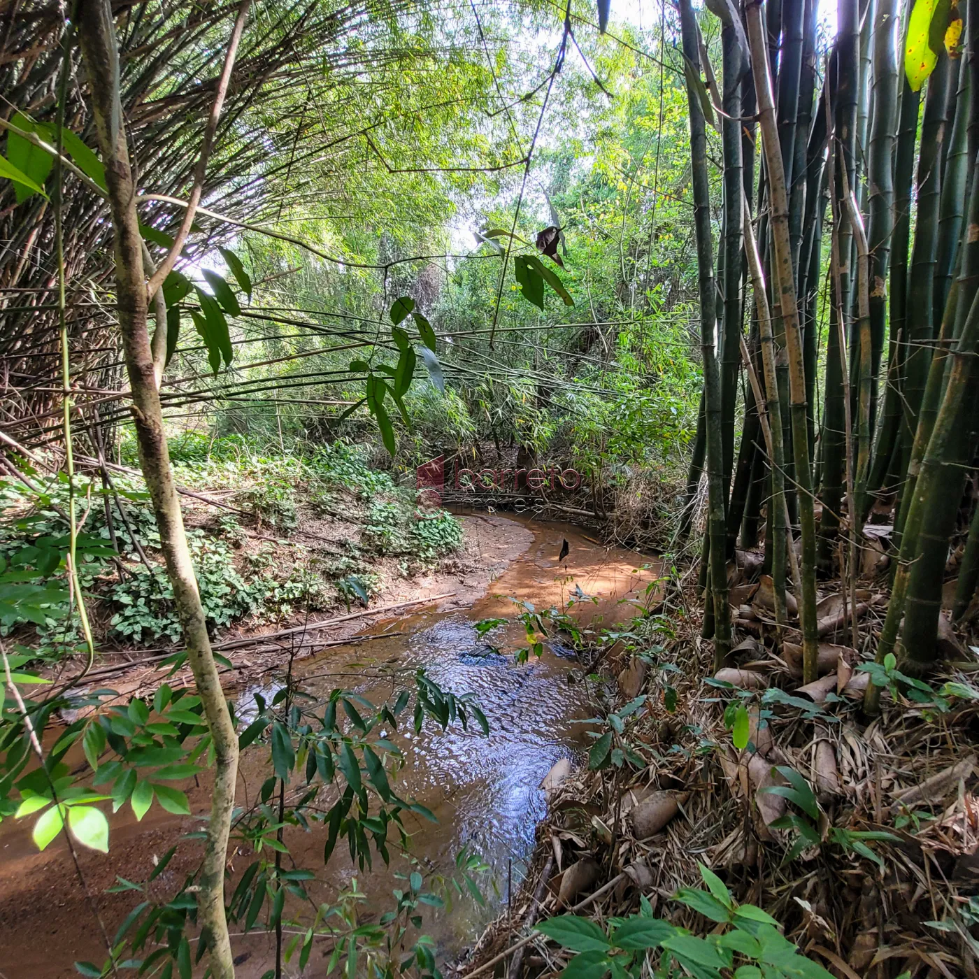 Comprar Sítio / Padrão em Jundiaí R$ 3.195.000,00 - Foto 64