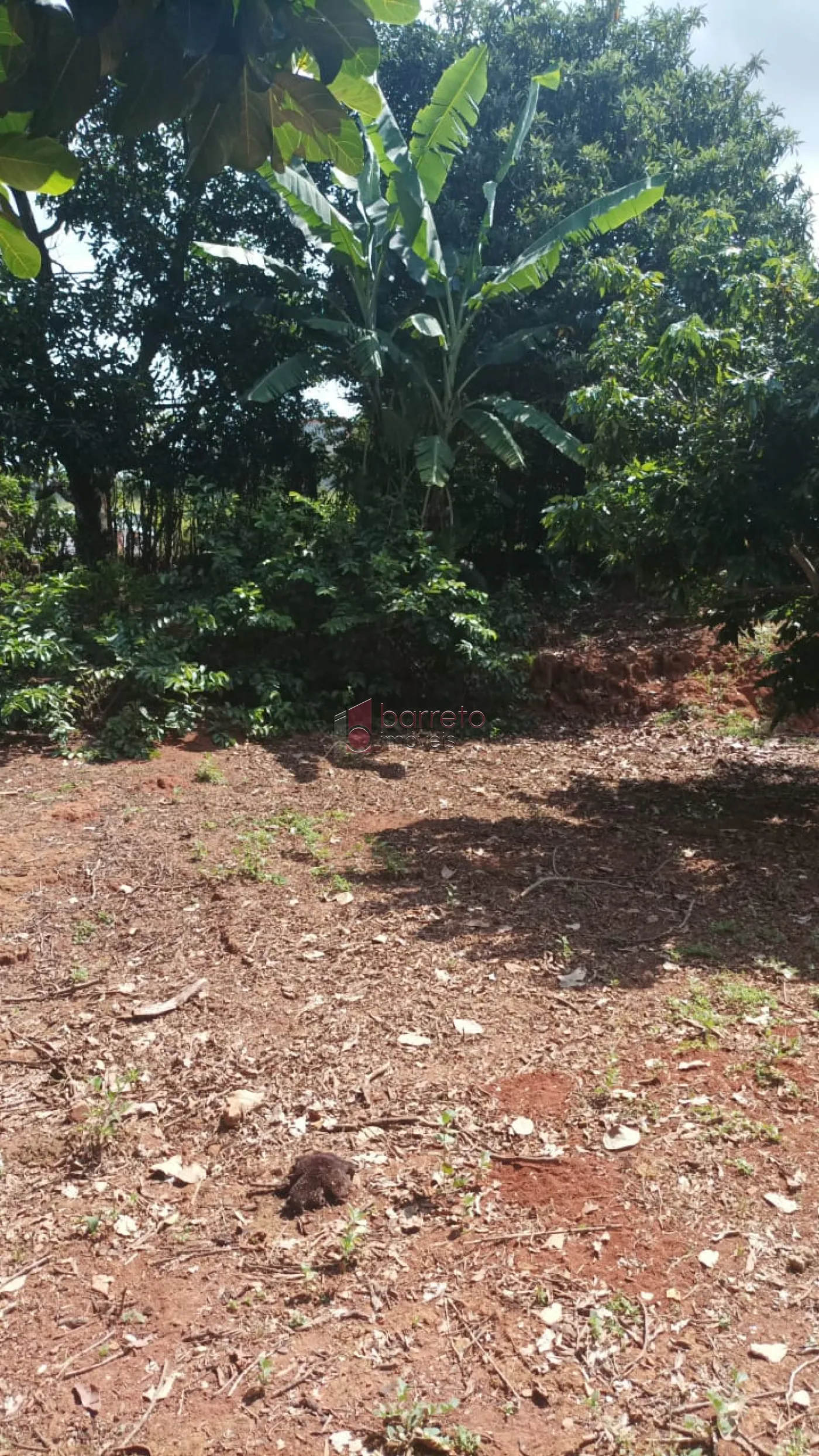 Comprar Terreno / Padrão em Campo Limpo Paulista R$ 220.000,00 - Foto 2