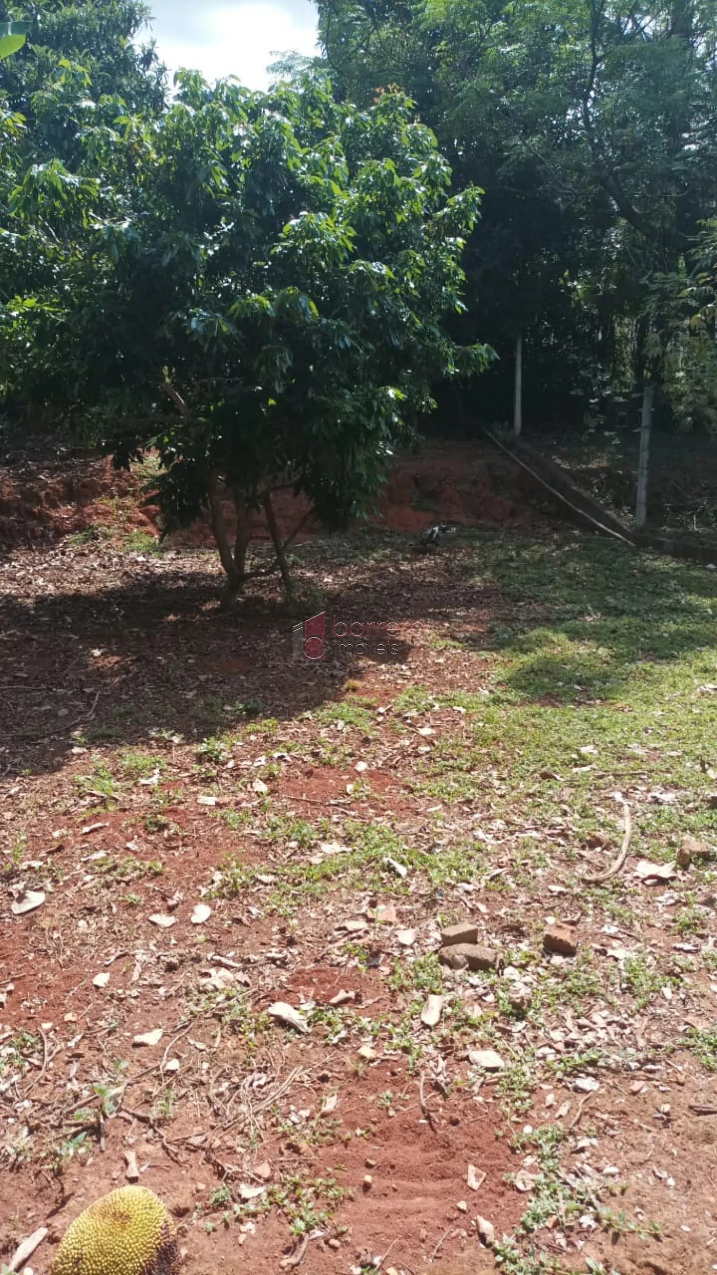 Comprar Terreno / Padrão em Campo Limpo Paulista R$ 220.000,00 - Foto 3