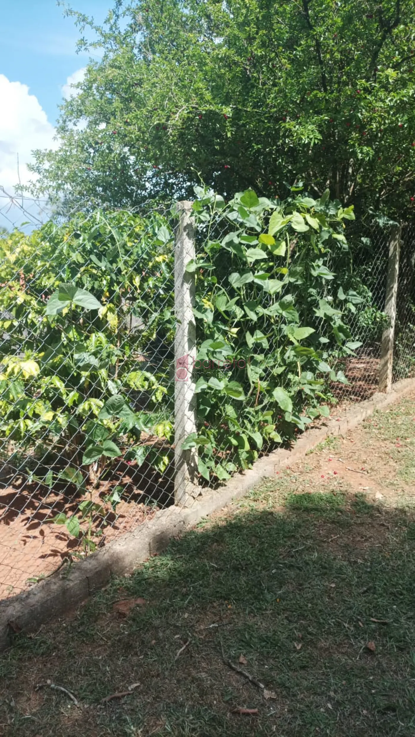 Comprar Terreno / Padrão em Campo Limpo Paulista R$ 220.000,00 - Foto 9