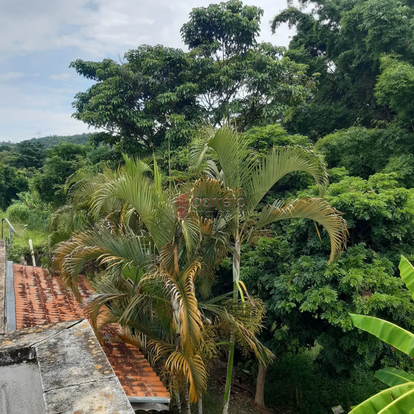 Comprar Chácara / Residencial em Louveira R$ 1.400.000,00 - Foto 37