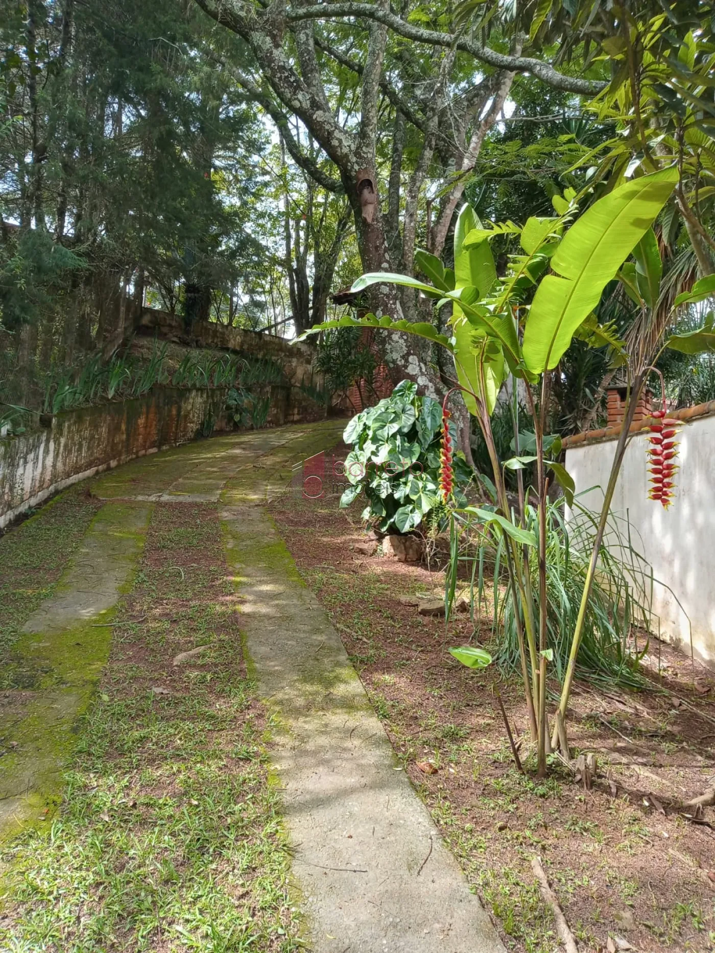 Comprar Chácara / Residencial em Campo Limpo Paulista R$ 445.000,00 - Foto 4