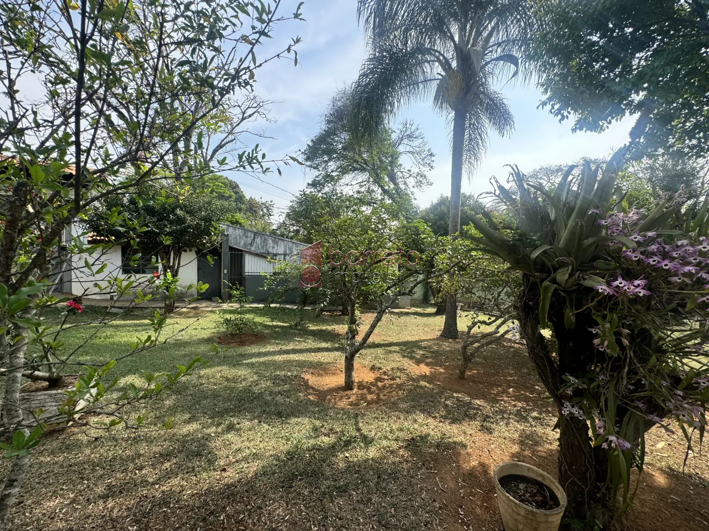 Comprar Chácara / Residencial em Jarinu R$ 1.600.000,00 - Foto 38