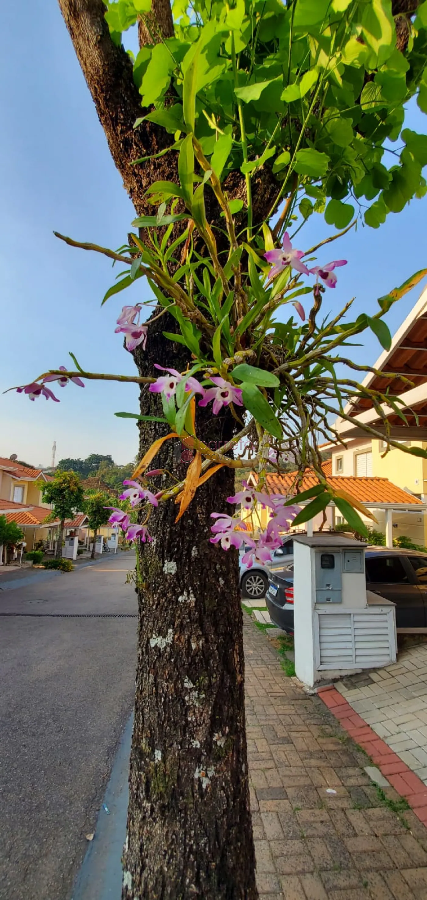 Comprar Casa / Condomínio em Jundiaí R$ 487.000,00 - Foto 22