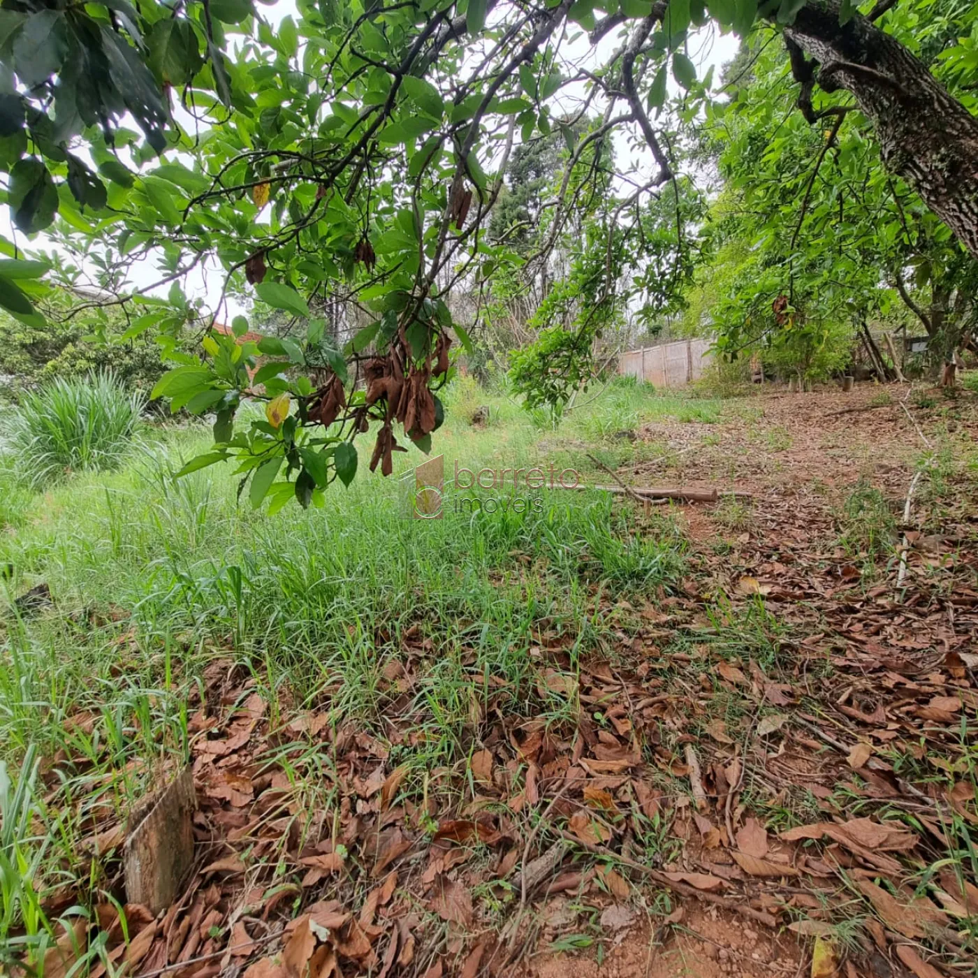 Comprar Terreno / Padrão em Jundiaí R$ 350.000,00 - Foto 5