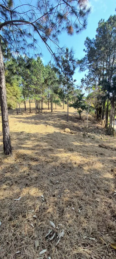 Terreno / lote em Jundiaí 