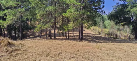 Terreno / lote em Jundiaí 