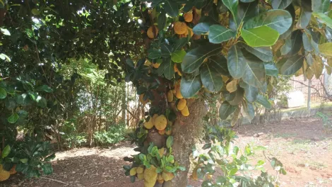 Terreno / Padrão em Campo Limpo Paulista 