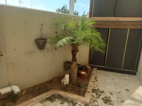 Apartamento / Garden em Jundiaí 